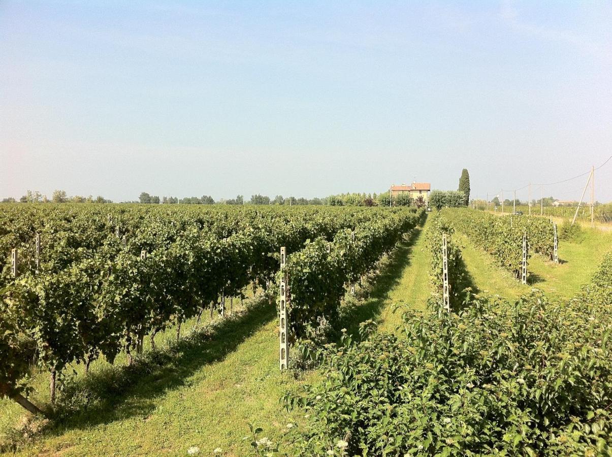 Cascina Tabachera X10 Country House Sirmione Garda Lake Pozzolengo Zimmer foto